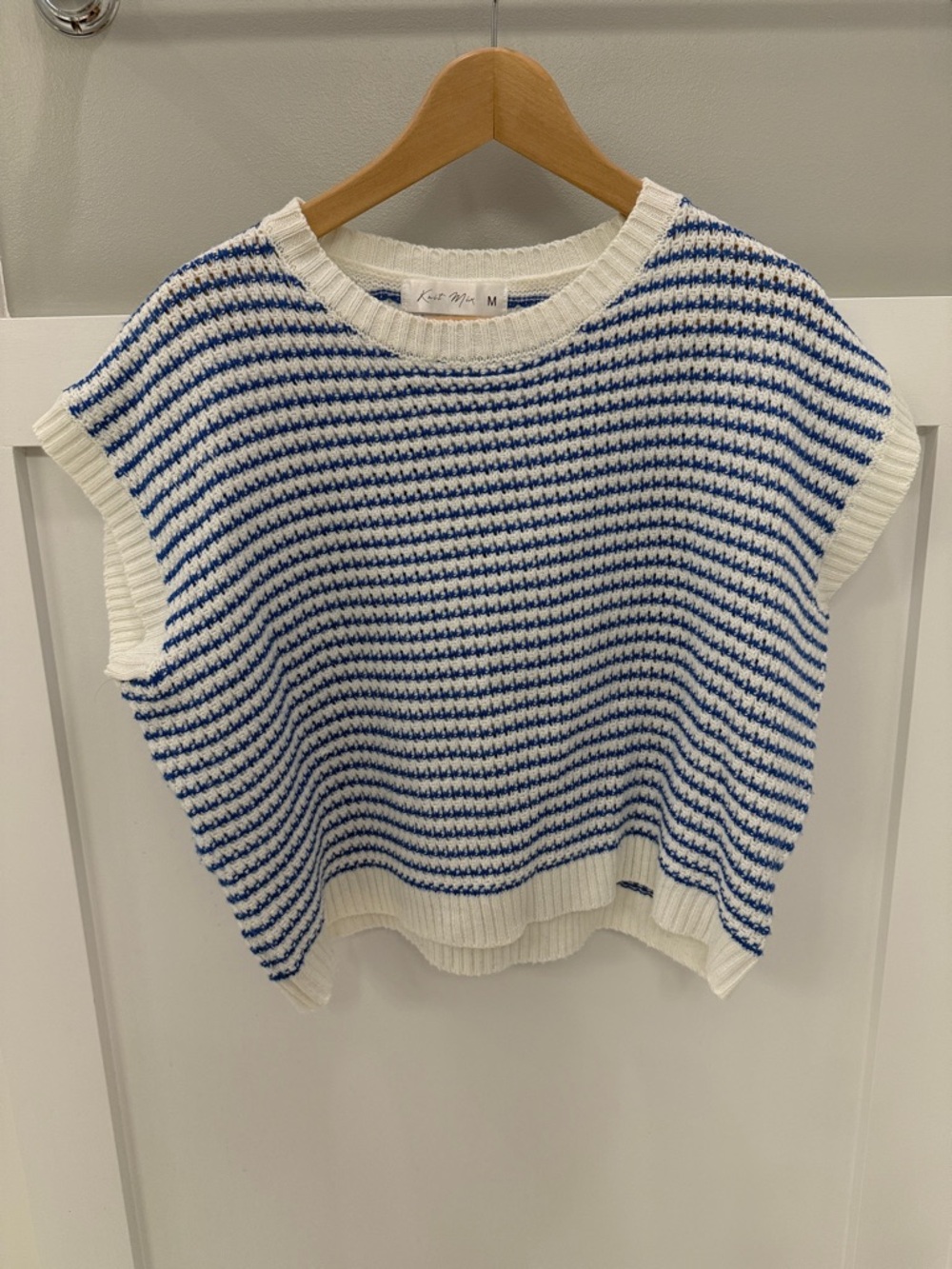 Knit Mix Blue & White Striped Sweater Vest - Medium